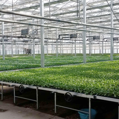 植物工廠多層花卉種植架 ABS潮汐式苗盤面板引領高效農業種植技術