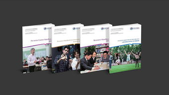舍可策劃案例 上海外國語大學mba 品牌符號 vi設計 畫冊設計 網站設計 年度宣傳設計