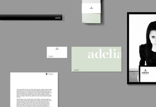 上海品牌設計公司分享 adelia美發護發產品品牌logo設計vi設計