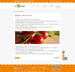 期是期望 網頁 企業官網 劉期業 上海 zcool