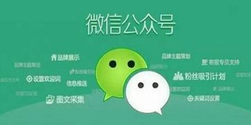 上海網站建設分析企業微信公眾號該怎么定位的幾個方法